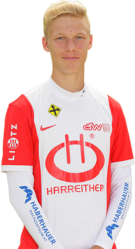 Staudinger Simon